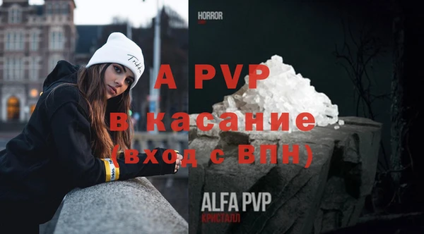 хмурый Абаза