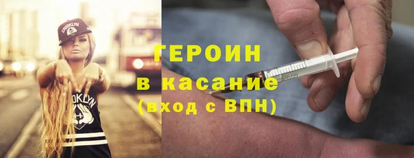 гашик Алексин