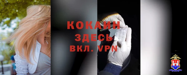 хмурый Абаза
