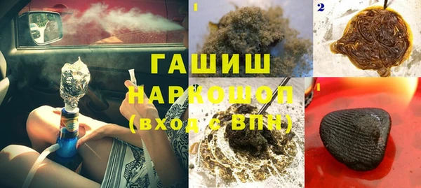 хмурый Абаза