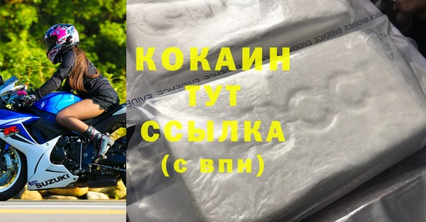 хмурый Абаза