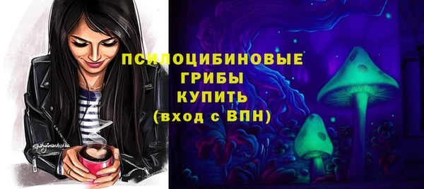 хмурый Абаза