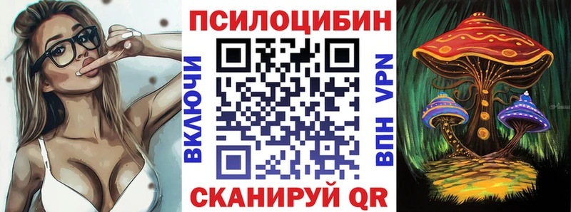 Псилоцибиновые грибы Cubensis  наркота  Ладушкин 